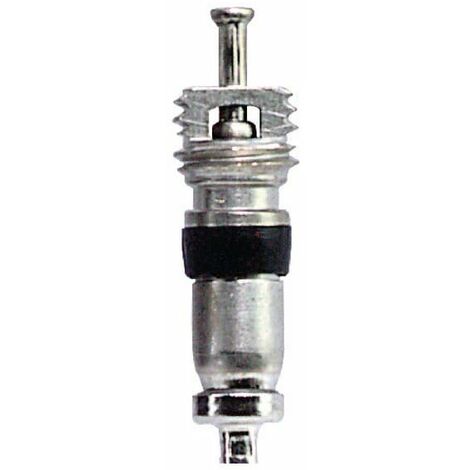 Obus de valve REMA TIP TOP 5620045