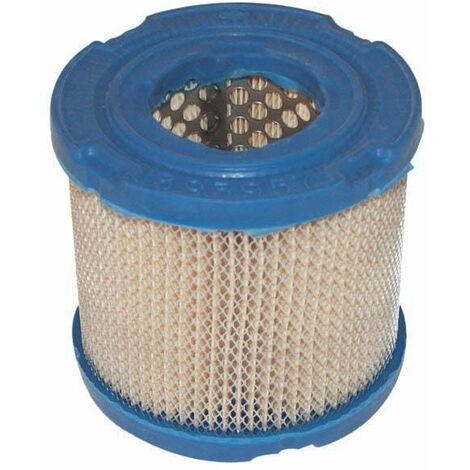 Filtre à air Briggs et Stratton 393957S, 393957, 390930 (1/2)