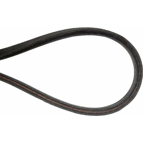 Courroie pour moteur thermique – Longueur 1.5m – Largeur 2.5cm – Compatible tondeuses Mc Culloch – 532196853