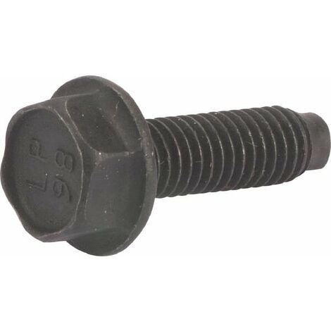 Vis BRIGGS ET STRATTON 794451 (1/2)