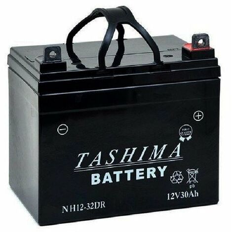 Batterie Tashima Gel/agm 100% étanche 12v, 32a Pour Tondeuse Autoportée. L: 195, L: 130, H: 180, + à Droite. - Batterie à Mettre