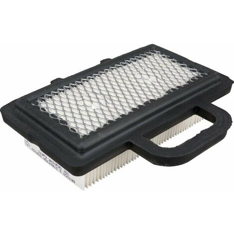 Filtre à air pour BRIGGS ET STRATTON 792101 (1/2)