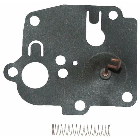 Membrane BRIGGS ET STRATTON 391681