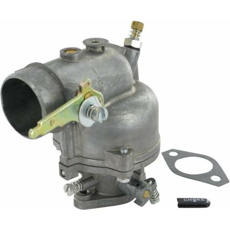 Carburateur BRIGGS ET STRATTON 390323 (1/2)