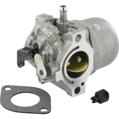 Carburateur adaptable pour moteurs Briggs & Stratton – Technologie de précision – Compatible avec 799728