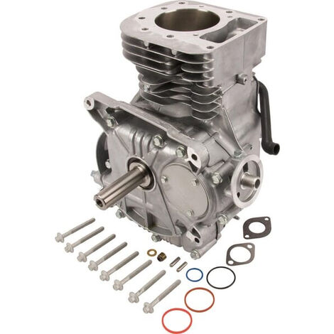 Shortblock modèle 31 vertical BRIGGS ET STRATTON 592060A (1/2)