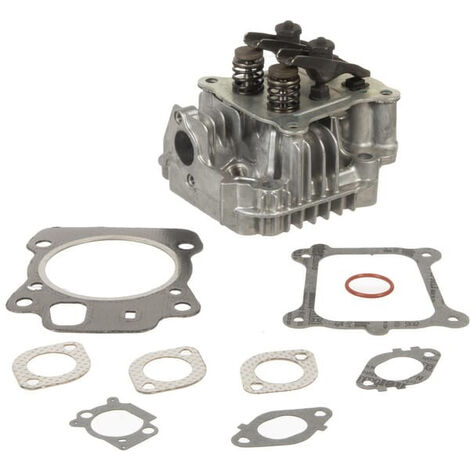 Briggs & Stratton – Culasse adaptable pour motoculteur – Performance optimale – Remplacement pièces moteur – 592175