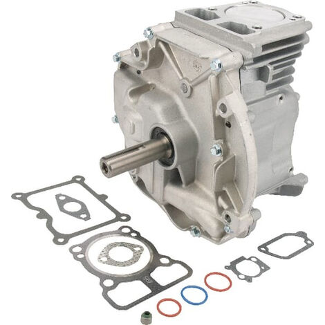 Briggs & Stratton – Cylindre moteur thermique 4 temps – Système d'alimentation par carburateur – Cylindrée 160cc – Puissance 5.5CV – 795156A
