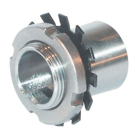 Bague avec écrou diamètre 40mm INA/FFAG H2309 (1/2)