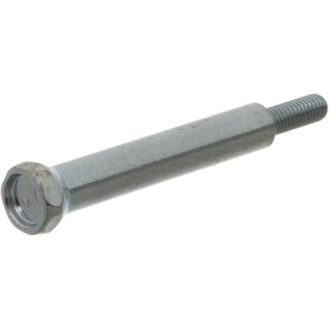 Vis BRIGGS ET STRATTON 793680 (1/2)
