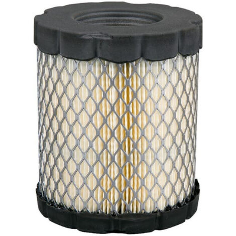 Filtre à air BRIGGS ET STRATTON 4250 (1/2)