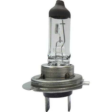 Ampoule UNIVERSEL B2438 (1/2)