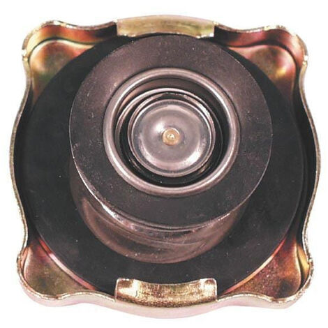 Bouchon de radiateur UNIVERSEL 4999682N (1/2)