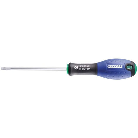 Tournevis TT40x125 EXPERT E165399 (1/3)