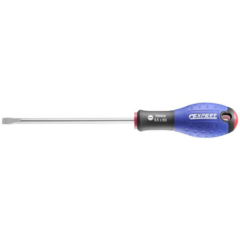 TOURNEVIS FENTE MÉCANICIEN EXPERT E160201 (1/5)