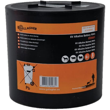 Batterie GALLAGHER 055661GAL (1/2)