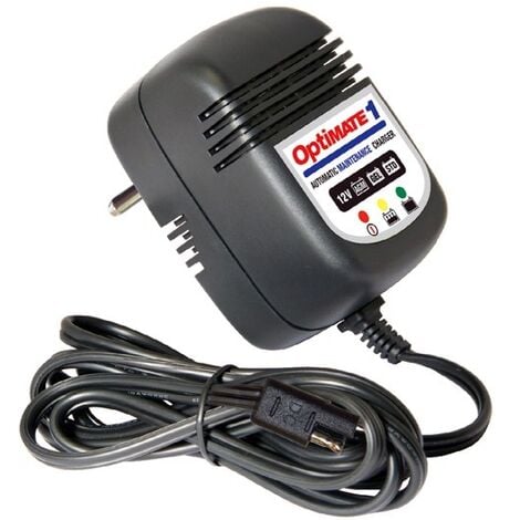 Chargeur pour Batteries Injusa 24V