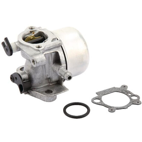 Carburateur BRIGGS ET STRATTON 799871
