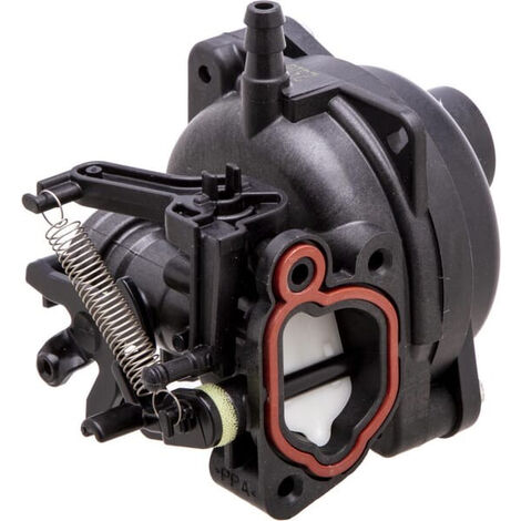 Carburateur BRIGGS ET STRATTON 594058 (1/5)