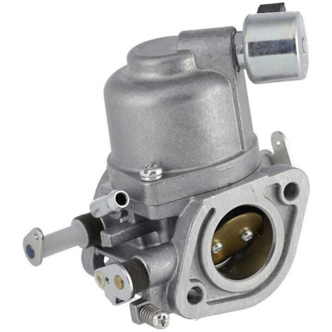 Carburateur BRIGGS ET STRATTON 597128 (1/3)