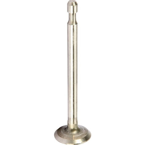 Soupape d'échappement BRIGGS ET STRATTON 590394 (1/2)