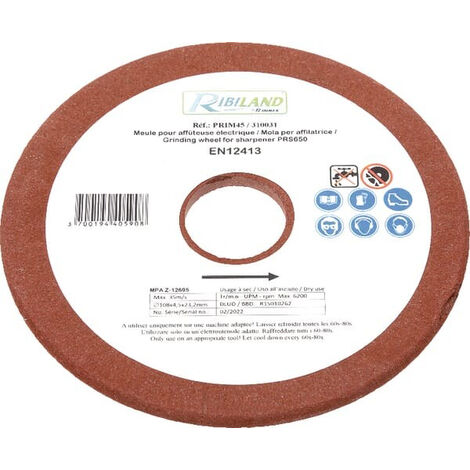 Meule sur champ D. 125 x 13 x 20 mm A 24 R - 10505005 - Sidamo