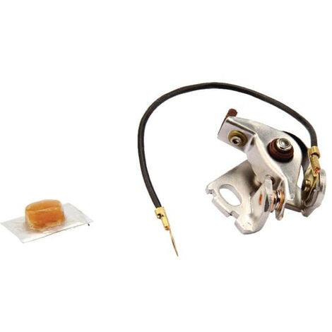 Rupteur condensateur AGRIA AGW58314 (1/2)