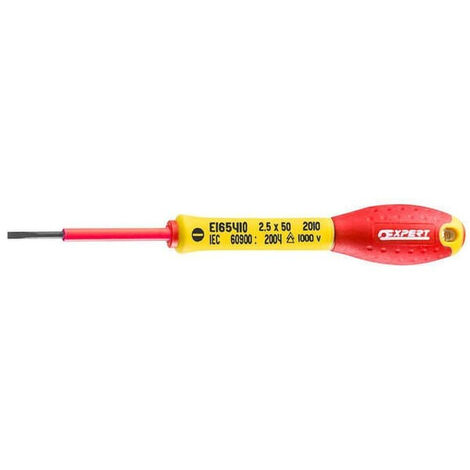 Tournevis EXPERT E165410 (1/3)