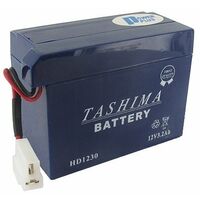 Batterie moto HD1230 12V 30Ah – Connexion spéciale pour HONDA – Adaptable – Technologie avancée pour performance optimale – Tashima