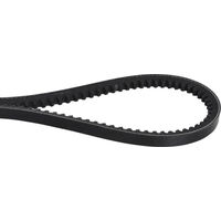 Courroie OPTIBELT AVX101425