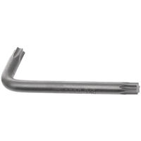 Clé mâle Torx T30 EXPERT E113999