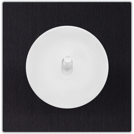Commande volet roulant blanc - manette blanc glossy DOM + plaque simple métallisé anthracite - FONTINI (1/5)