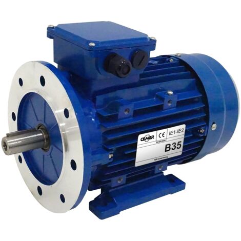 Moteur électrique Triphasé 230/triphasé 400v 4 Kw 3000 Tr/min  - Ms100l22b35 Bride B35 (1/5)