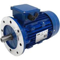 Moteur électrique Triphasé 230/Triphasé 400V 1,1 kW 3000 tr/min - MS8022B5 Bride B5 - Bobinage cuivre
