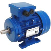 Moteur électrique Triphasé 230/Triphasé 400V 0,75 kW 1000 tr/min - MS90S6B3 Bride B3 - Bobinage cuivre