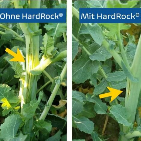 OmniCult HardRock® 10 l Dünger Pfanzendünger Getreide Mais Raps Kartoffeln (1/4)