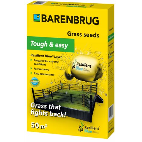 BARENBRUG Resilient Blue Lawn Yellow Jacket 1 kg Rasensaat Nachsaat Universal