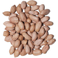 Agrarshop Erdnuss light skin 25 kg Vogelfutter Wintervogelfutter Meisen