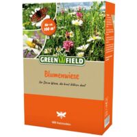 Greenfield Blumenwiese 1 kg Blumen Wiesensamen Grassamen Blumensamen Bienen