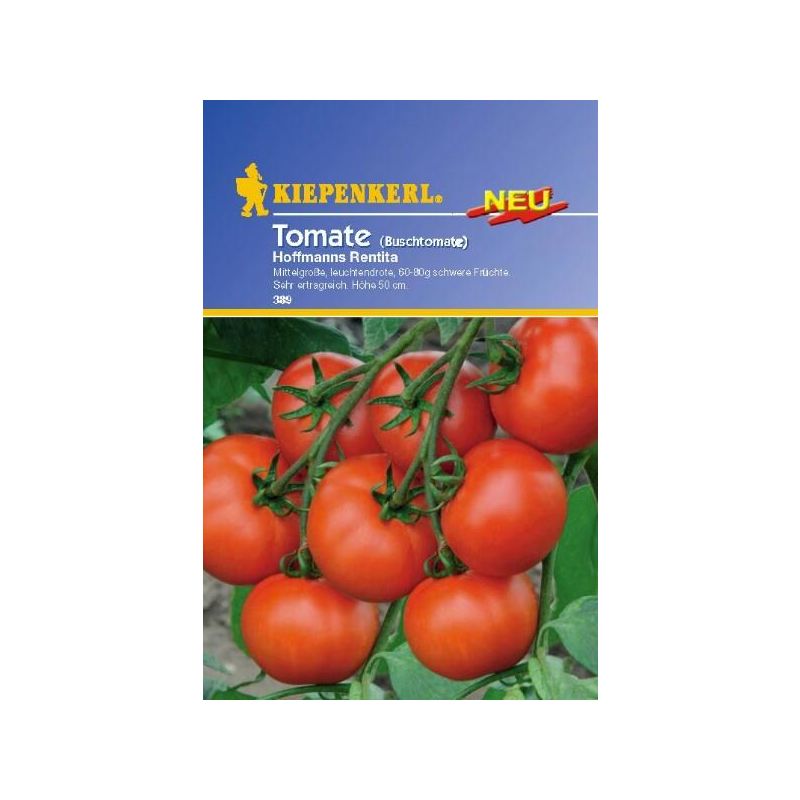 Topftomate Tomate Hoffmanns Rentita ertragreiche Buschtomate Tomaten Samen 