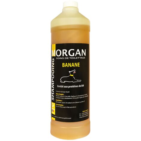 Shampoing protéiné Banane Morgan : 1L