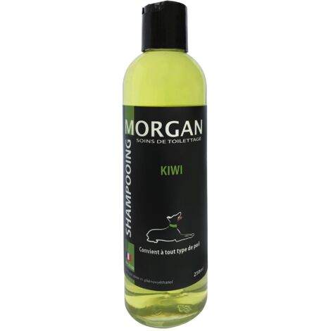 Shampoing protéiné senteur Kiwi Morgan : 250ml