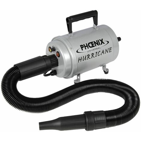 FERM Pistolet souffleur à air Métal ATM1050 - Bricolage