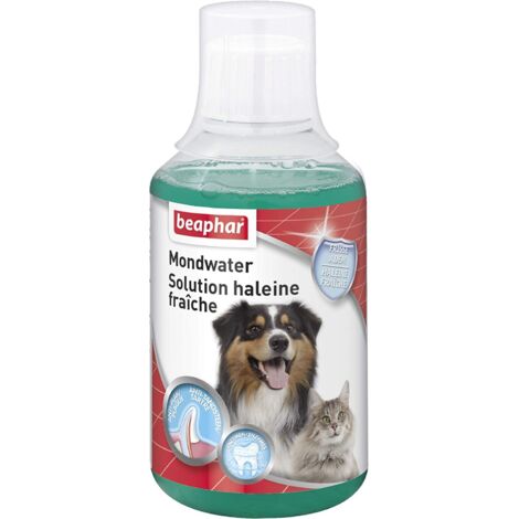 Solution buccafresh 250 ml Beaphar (1/2)