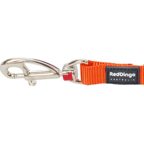 Laisse confort Red Dingo Basic orange Taille : T4
