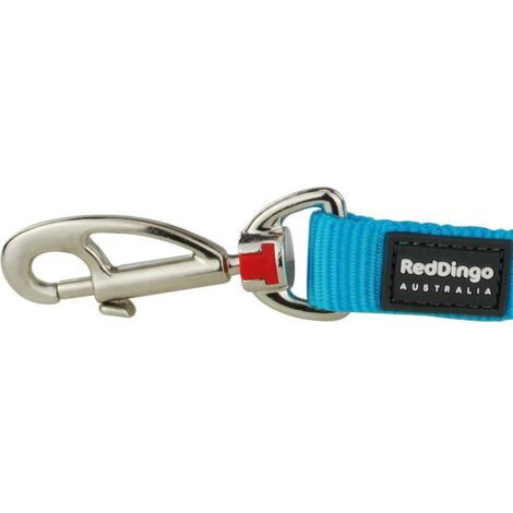 Laisse confort Red Dingo Basic Turquoise Taille : T3