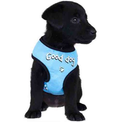 Harnais tee-shirt chien fantaisie doogy bleu "Good Dog" Taille : S