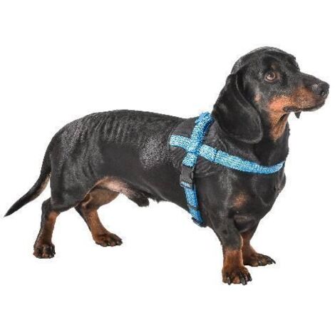 Harnais Easy Safe Bleu Taille : XS