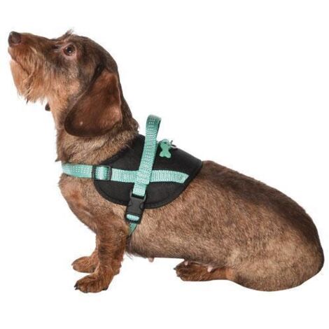 Harnais Easy Safe Lagon Taille : XXS