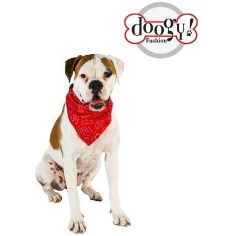 Collier chien bandana star rouge Taille : T4